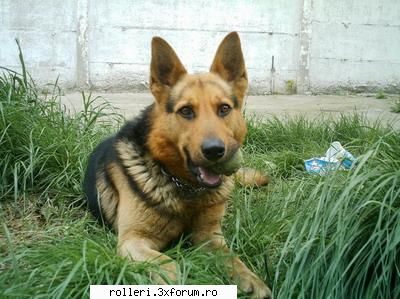 Loc de pus poze... - Asta e CUTZU meu ;) - SKATE PARK IOR